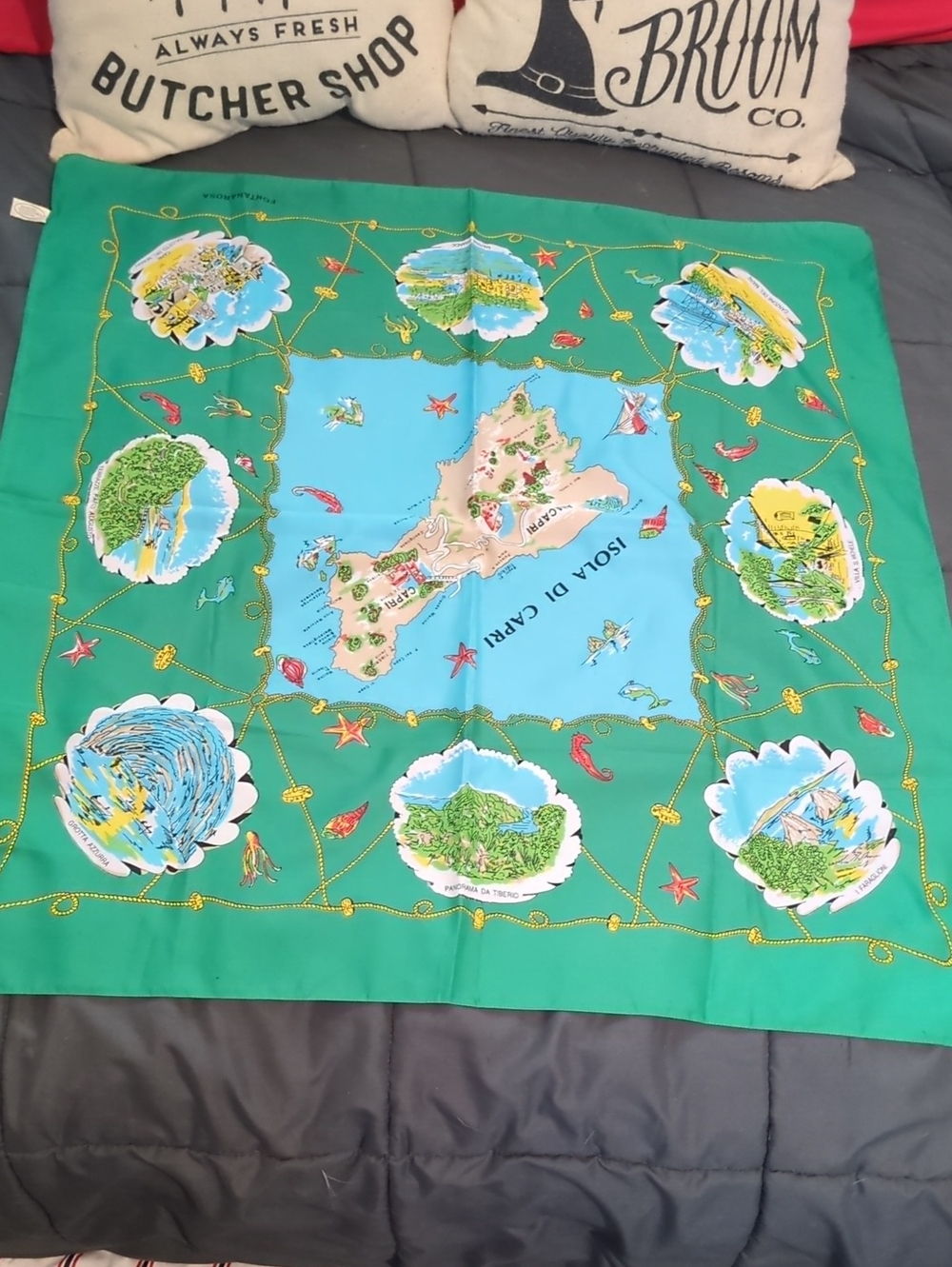 Hermes Inspired Isola Di Capri Green & Blue Illustrated Island Map Scarf Italy